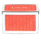Dior Blush Powder